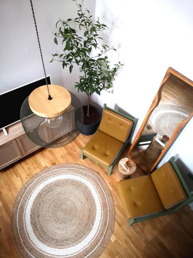 Codicei Studio Брашов Экстерьер фото