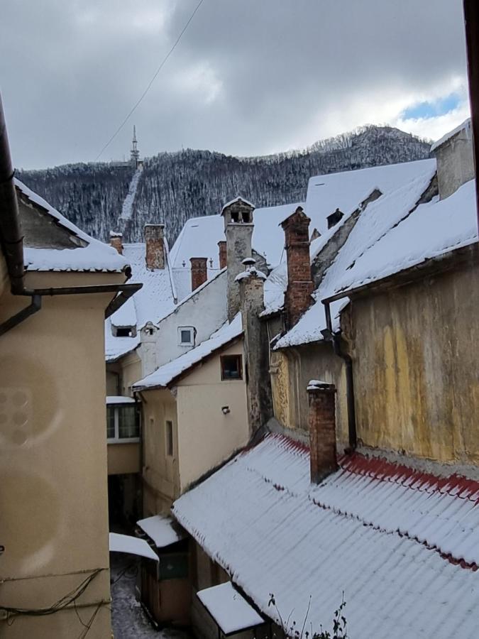 Codicei Studio Брашов Экстерьер фото